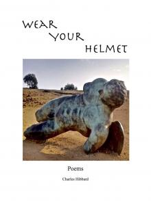 Wear Your Helmet