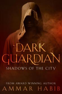 Dark Guardian: Shadows Of The City