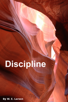 Discipline