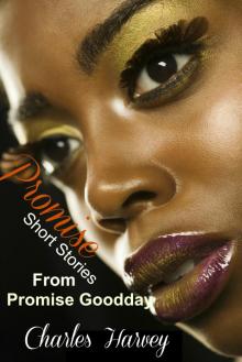 Promise - Short Stories From Promise Goodday