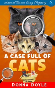 A Case Full of Cats