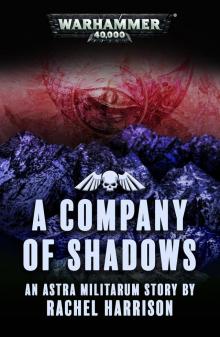 A Company of Shadows - Rachel Harrison