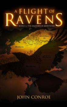 A Flight of Ravens