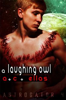 A Laughing Owl