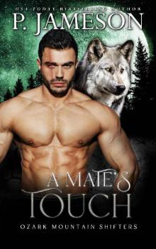 A Mate's Touch (Ozark Mountain Shifters Book 5)