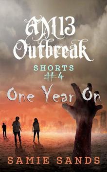 AM13 Outbreak Shorts (Book 4): One Year On