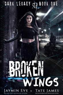 Broken Wings: Dark Legacy book 1