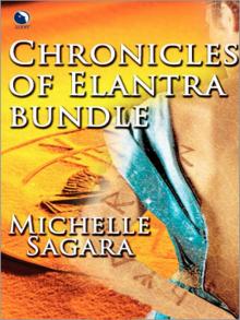 Chronicles of Elantra Bundle