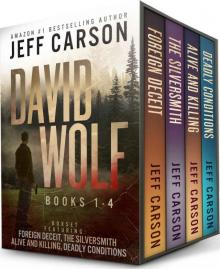 David Wolf series Box Set