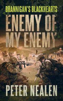 Enemy of My Enemy (Brannigan's Blackhearts Book 8)