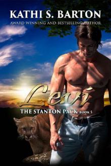 Levi: The Stanton Pack—Paranormal Cougar Shifter Romance