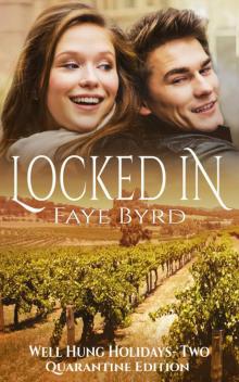 Locked In (Well Hung Holidays Book 2)