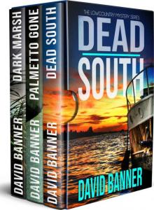 Lowcountry Seaside Mystery Box Set