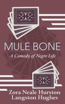 Mule Bone