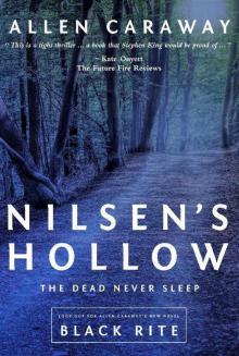 Nilsen's Hollow