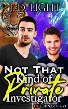 Not That Kind of Private Investigator: Chosen Book 21
