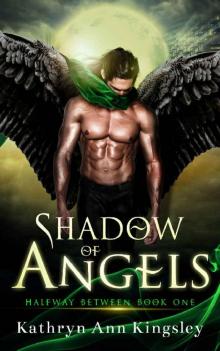 Shadow Of Angels (Halfway Between Book 1)