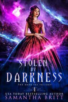 Stolen by Darkness: The Dark Fae Trilogy Book One