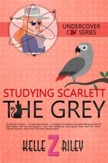 Studying Scarlett the Grey