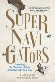 Supernavigators