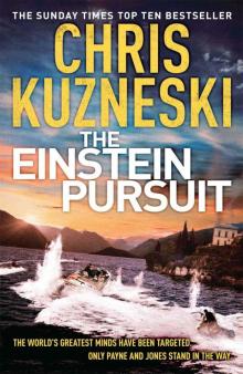 The Einstein Pursuit