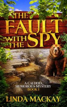 The Fault With The Spy