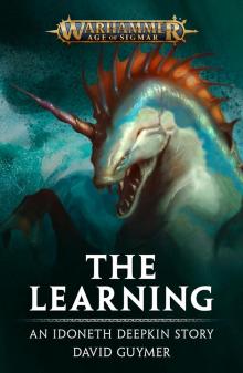 The Learning - David Guymer