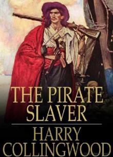 The Pirate Slaver