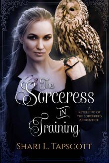 The Sorceress in Training: A Retelling of The Sorcerer’s Apprentice