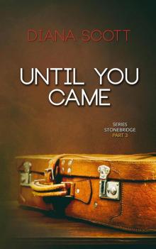 Until you came (Series Stonebridge, #3)