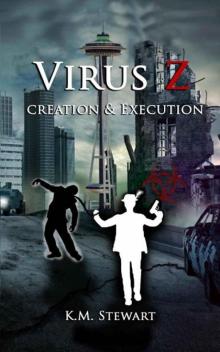 Virus Z | Book 3 | Creation & Execution