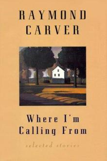 Where I'm Calling From: New and Selected Stories