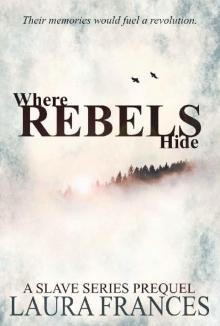 Where Rebels Hide: A Slave Series Prequel