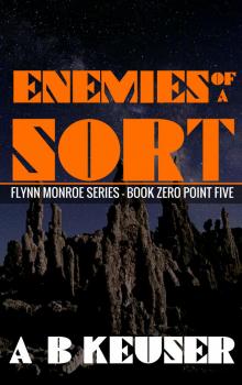 Enemies of a Sort