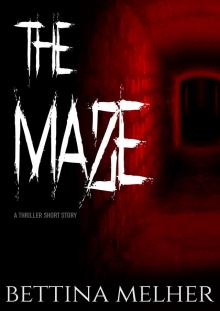 THE MAZE - A Thriller Short Story