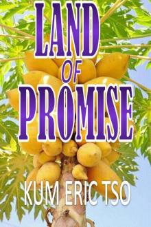 Land of Promise