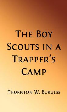 The Boy Scouts in A Trapper's Camp