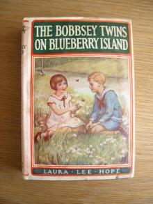 The Bobbsey Twins on Blueberry Island