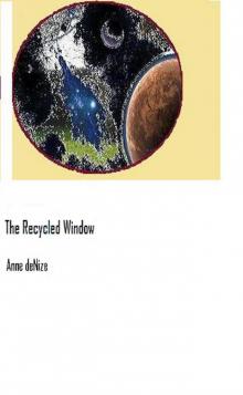 The Recycled Window