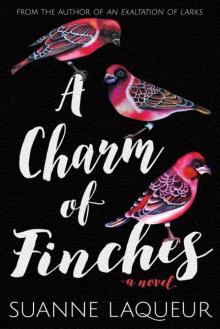 A Charm of Finches