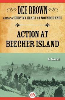 Action at Beecher Island: A Novel