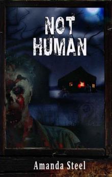 After The Zombies | Novel | Not Human