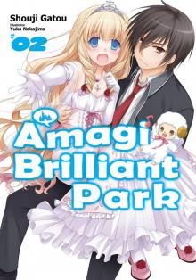 Amagi Brilliant Park: Volume 2 (Premium)