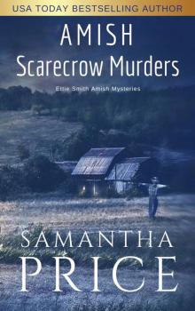 Amish Scarecrow Murders