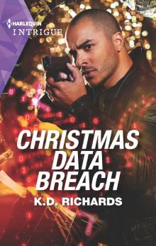 Christmas Data Breach