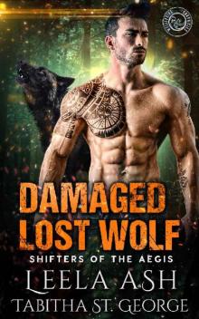 Damaged Lost Wolf