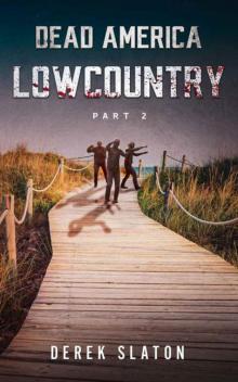 Dead America: Lowcountry | Book 2 | Lowcountry [Part 2]