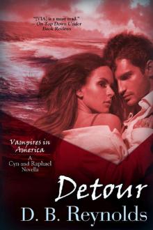 Detour: A Cyn and Raphael Novella (Vampires in America 13.5)