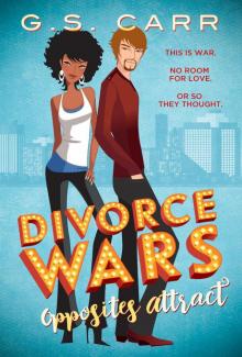 Divorce Wars