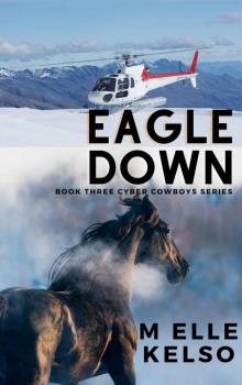 Eagle Down (Cyber Cowboys Series Book 3)